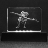 BurningMint™ Personalized Crystal Block, Custom Crystal Stadium, Crystal Stadium, Crystal Cube, Crystal Cut-corner Cube